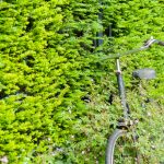 Upcycling Vintage Bicycle Amsterdam Green