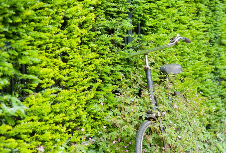 Upcycling Vintage Bicycle Amsterdam Green