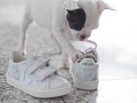 Veja Diapers and Milk collaborations sneakers marble esplar puppy