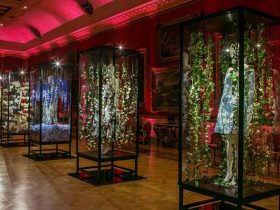 Green carpet Challenge Erdem