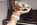 Ma P'tite Culotte Chipie lingerie made in France