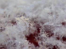 winter is coming manteaux