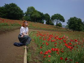 poppy field japan tokyo hylla midi skirt