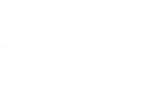 Ultra Tee Organic Oeko Tex