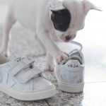 Veja Diapers and Milk collaborations sneakers marble esplar puppy