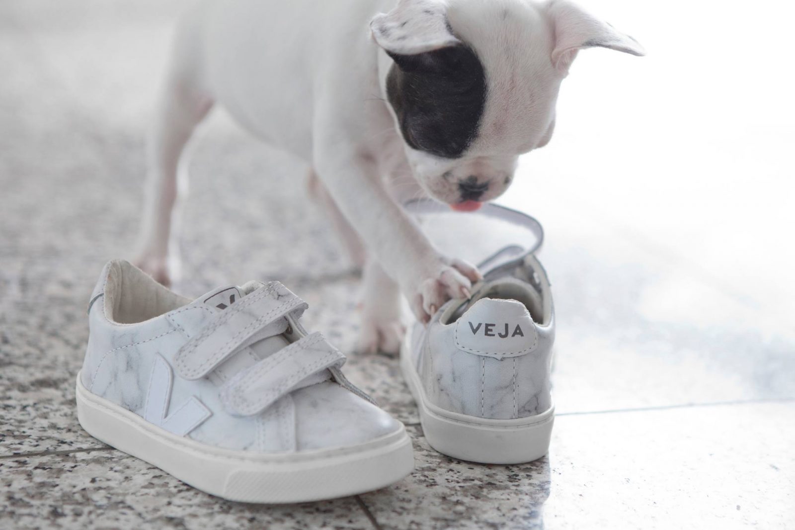 Veja Diapers and Milk collaborations sneakers marble esplar puppy