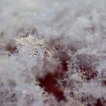 winter is coming manteaux