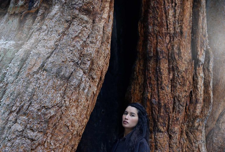 Sydney Brown vegan orgnic shoes wood